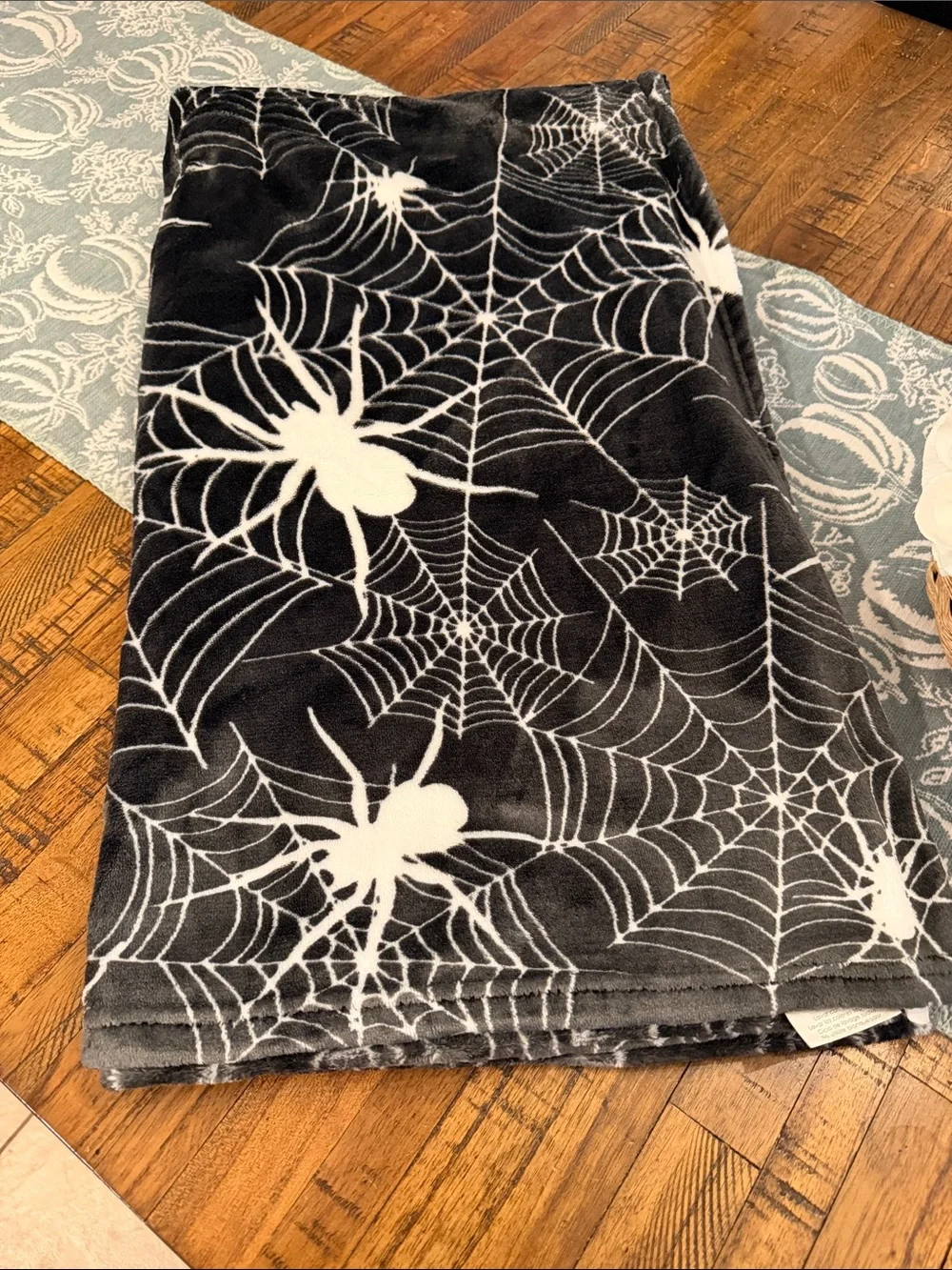 Spider Web Blanket